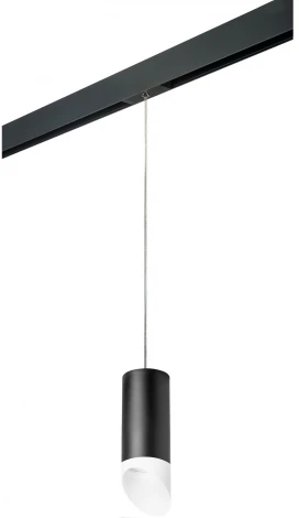 Трековый светильник однофазный 220V Lightstar Rullo PRORP648786 (круглые)