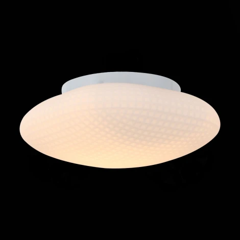 Настенно-потолочный светильник ST Luce Pone SL504.552.01