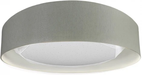 Потолочный светильник Seven Fires Лагом 48205.23.18.64GR