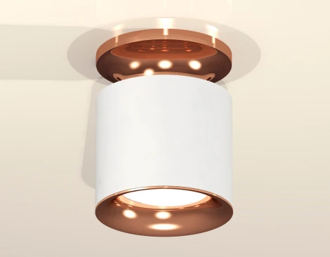 Накладной точечный светильник Ambrella Techno XS7401142 (220V, круглые)