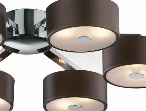 Потолочная люстра Odeon Light Salar 2047/12C