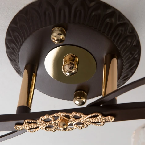 Потолочная люстра Citilux Мотив CL166141