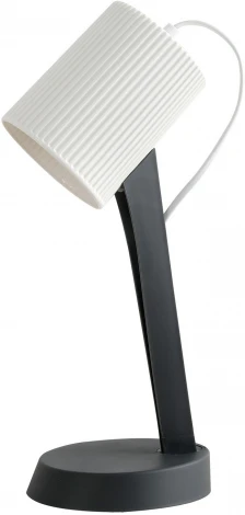 Настольная лампа Lussole Union LSP-0673 (220V, выключатель)