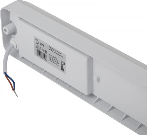 Настенно-потолочный светильник светодиодный ЭРА SPB-103-0-40K-020