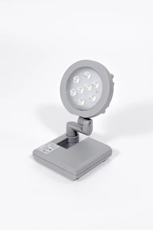 Прожектор уличный Oasis Light W6102S S