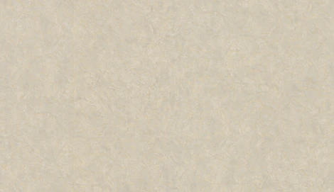 Обои виниловые Zambaiti Trussardi VI 46036 10,05 х 1,06 м