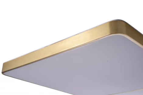 Потолочный светильник Zortes Monna ZRS.1209.07 (LED, 220V)