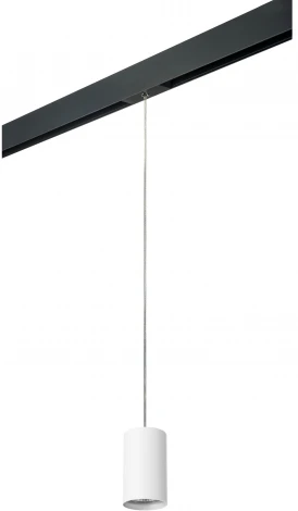 Трековый светильник однофазный 220V Lightstar Rullo PRORP436 (круглые)