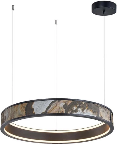 Подвесная люстра Favourite Lago 4598-1P (LED, 220V, на тросе, круглые)