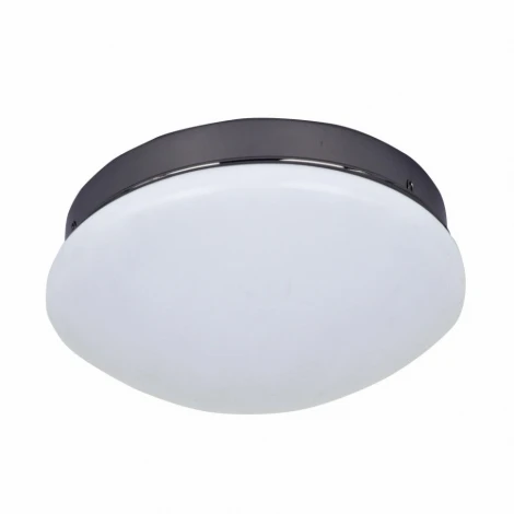 Потолочный светильник F-Promo Ledante 2468-1C