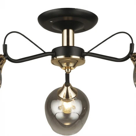 Потолочная люстра Wedo Light Isora 66606.01.69.03