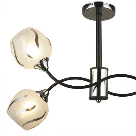 Потолочная люстра Wedo Light Doliyani 66400.01.13.04