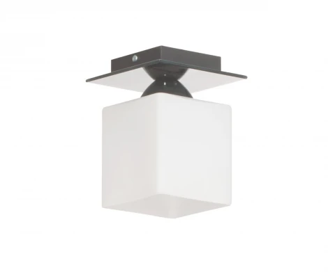 Накладной точечный светильник Lampex Floki 559/1 POP