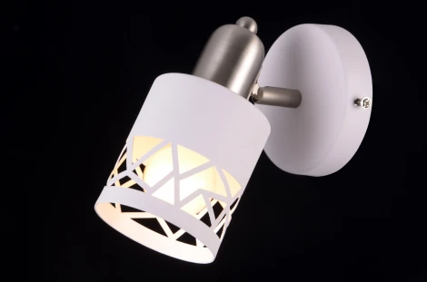 Спот Natali Kovaltseva Essen 81044-1W STAIN GRAY