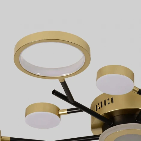 Потолочная люстра на штанге светодиодная с ПДУ F-Promo Hybrid 4686-13C