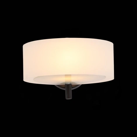 Бра ST Luce Foresta SL483.401.01