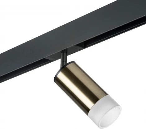 Трековый светильник однофазный 220V Lightstar Rullo PRO43131 (круглые)