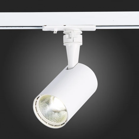 Трековый светильник ST Luce Cami ST351.546.10.36 (LED, 220V, круглые, IP22)