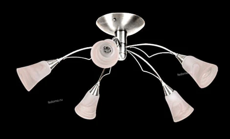 Ozcan Пальма 1555-5