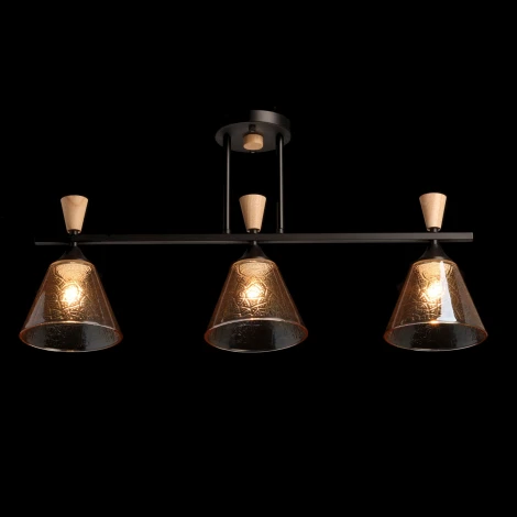 Потолочная люстра на штанге De City Дэла 635014503 (220V)