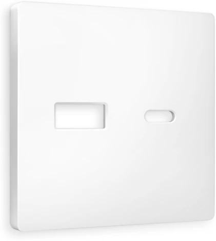 Лицевая панель Ambrella Volt ALFA (Белый матовый) для розетки 2USB A+C QUANT AP1310