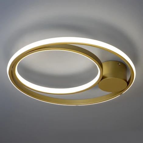 Потолочная люстра светодиодная с ДУ Ritter Snello 51625 9