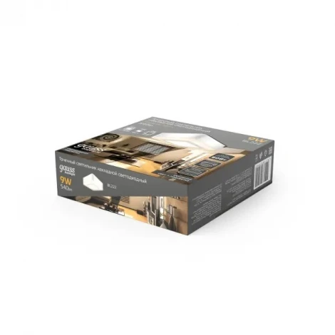 Накладной точечный светильник Gauss Backlight BL222 (LED, 220V)