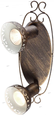 Спот Arte Lamp Focus A5219AP-2BR