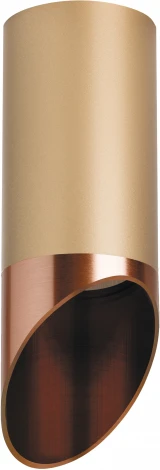 Точечный накладной светильник Lightstar Rullo R440130 (220V, круглые)