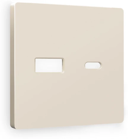 Лицевая панель Ambrella Volt ALFA (Бежевый матовый) для розетки 2USB A+C QUANT AP3310