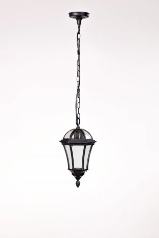 Уличный светильник подвесной Oasis Light 95205S Bl (220V, на цепи, IP44)