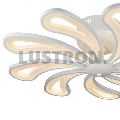 Потолочная люстра ST Luce SL862 SL862.502.09