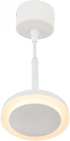 Подвесной светильник Denkirs DK402 DK4022-WH