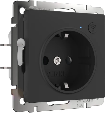 Умная розетка (черный матовый) Werkel W1171608 (a056422)
