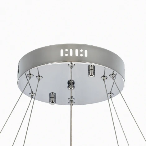 Подвесная люстра Citilux Etera CL322060 (регулировка яркости, LED, подвески, пульт управления, на тросе, кольцо, бабочки)