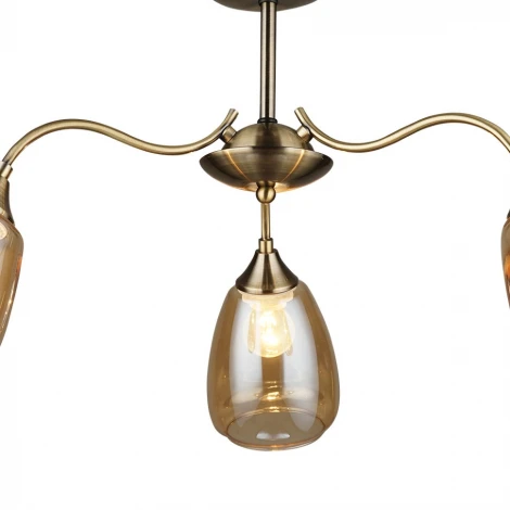 Потолочная люстра Wedo Light Савона 66233.01.05.03