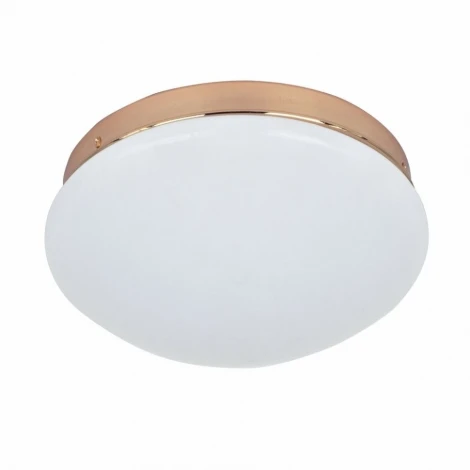 Потолочный светильник F-Promo Ledante 2465-1C