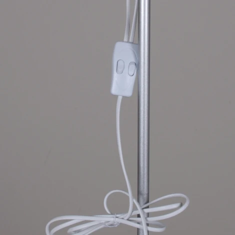 Торшер с выключателем Reluce 06003-0.6-02HV SL