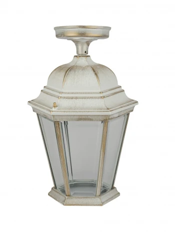 Потолочный светильник уличный Oasis Light ASTORIA 2 91405LA Gw (220V, IP44)