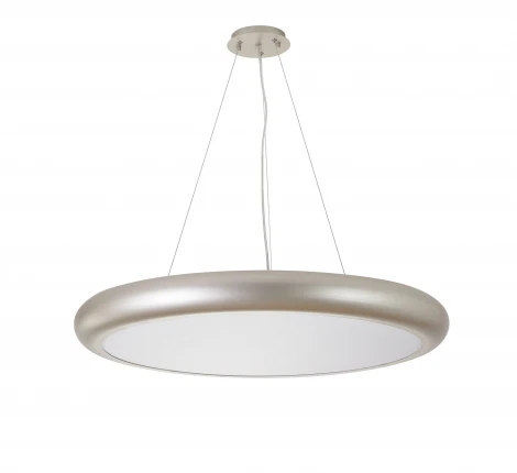 Подвесной светильник Favourite Smiler 2828-2PC