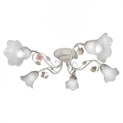 Потолочная люстра Day&Night S9208-5