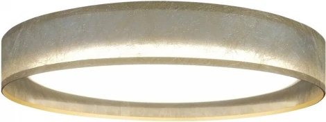 Потолочный светильник Seven Fires Лагом 48203.40.72.77GD-GD