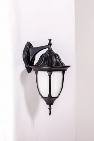 Настенный фонарь уличный Oasis Light GENUYA 92102/04 Bl (220V, фонарь, IP44)
