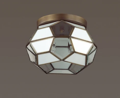 Потолочный светильник Odeon Light Lekko 3295/2C