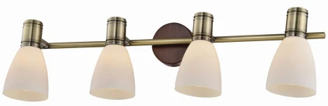 Спот Toplight Sharyl TL3720Y-04BB