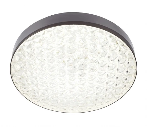 Настенно-потолочный светильник Мелодия Света CW1L 000024759