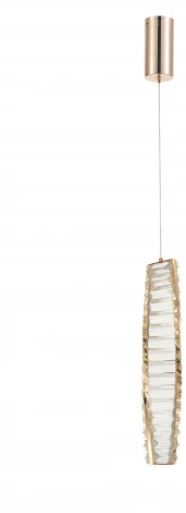 Подвесной светильник Rivoli Madalina 6165-201 (LED, 220V, на проводе, молекулы)