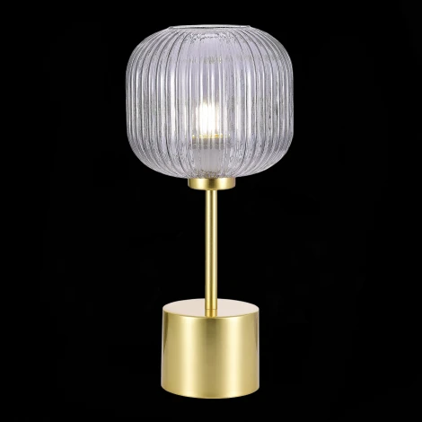 Настольная лампа ST Luce Gran SL1154.304.01