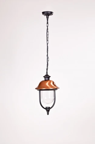 Уличный светильник подвесной Oasis Light 84305c Bl (220V, на цепи, IP44)
