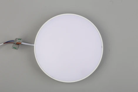 Потолочный светильник круглый Aployt Evon APL.0114.09.24 (LED, 220V, круглые)